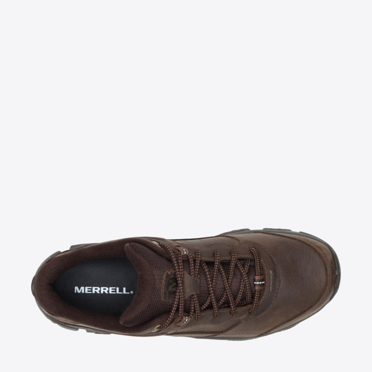 Merrell moab adventure hot sale lace dark earth